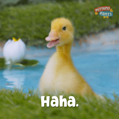 Bebek